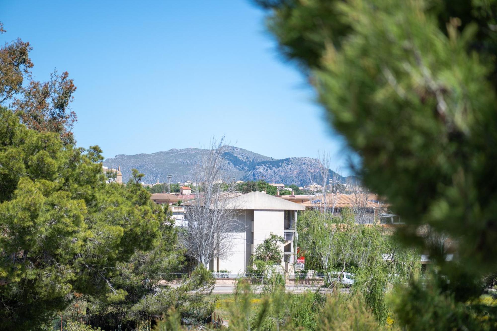Apartamento Minerva Alcúdia Extérieur photo